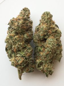 Dragons Breath